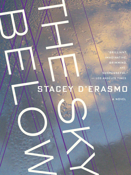 Title details for The Sky Below by Stacey D'Erasmo - Wait list